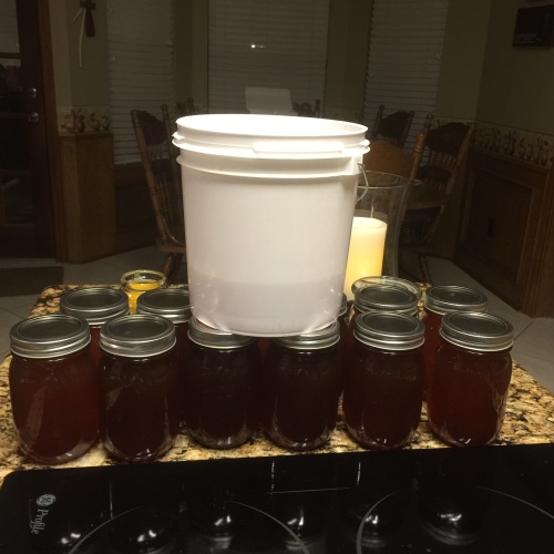 12  pint jars - 18 pounds of honey and a little over 3 pounds in the white bucket. So danged good.